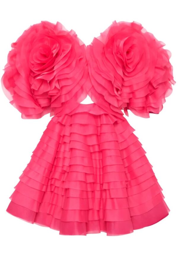 AJE Amour Ruffle Mini Dress